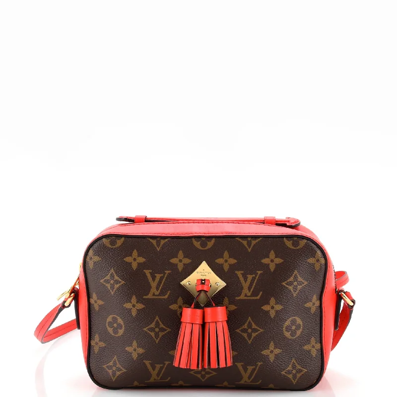 Trendsetting Christian Dior crossbody bags with a colorful strapSaintonge Handbag Monogram Canvas with Leather